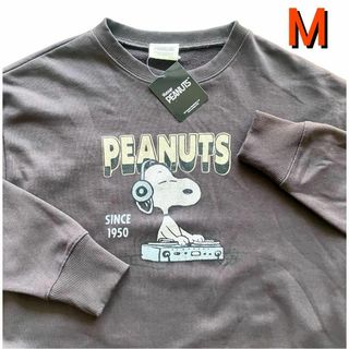 PEANUTS - プラザ限定 スヌーピー チャーリーブラウン PEANUTS - プラザ限定 スヌーピー チャーリーブラウン