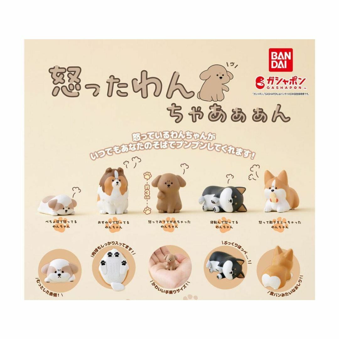 コンプ 怒ったわんちゃあぁぁん 全5種 ガチャ いぬ イヌ 犬 わんこ エンタメ/ホビーのおもちゃ/ぬいぐるみ(キャラクターグッズ)の商品写真