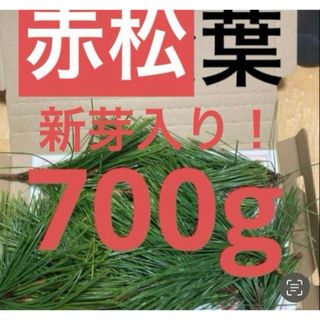 赤松の葉　野菜　岡山県産　即日発送　即購入可能(野菜)