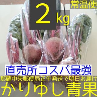 お手頃価格 直売所コスパ最強〉沖縄県産 Tさんの葉つきビーツB品約2kg 野菜