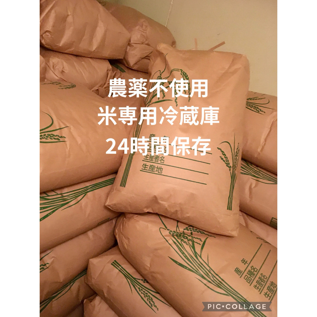 ポムの木様専用商品です。新米 こしひかり 多古米 10kg 玄米。 新米 玄米コシヒカリ24kg 7/10袋 ポムの木様専用商品です。令和6年 山形県産 はえぬき 10kg。 新米 玄米コシヒカリ24kg 7/10袋