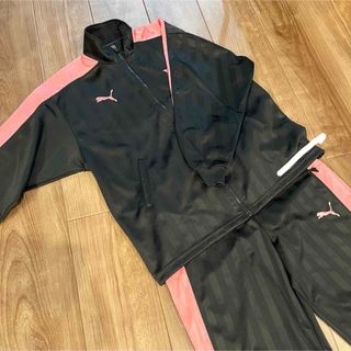 PUMA(ジャージ ・ ピンク/桃色系)のフリマアイテム一覧 PUMA(ジャージ ・ ピンク/桃色系)のフリマアイテム一覧