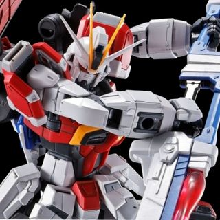 2品セット】RG ソードインパルスガンダム／ゴールドフレーム天