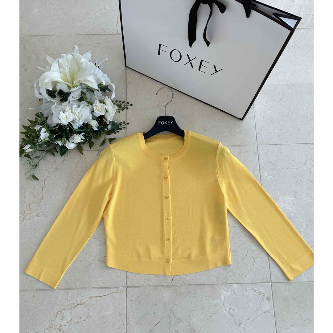 FOXEY - 【極美品】FOXEY♡アッパースタンダードカーディガン FOXEY - 【極美品】FOXEY♡アッパースタンダードカーディガン