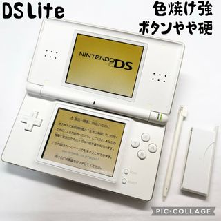 ニンテンドーDS - (本体)逆転検事PREMIUM EDITION(プレミアム ニンテンドーDS - (本体)逆転検事PREMIUM EDITION(プレミアム