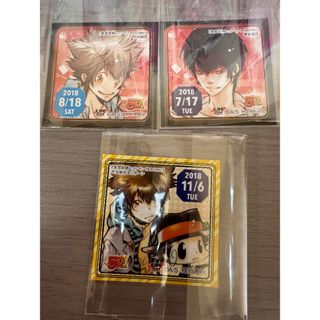 沢田綱吉 リボーン 家庭教師ヒットマン REBORN 366日ステッカー(その他)