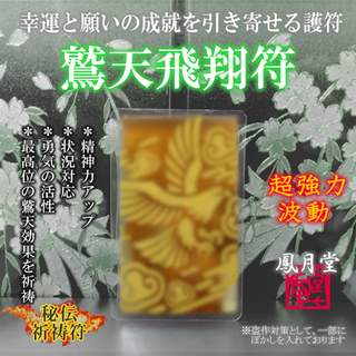 【鷲天飛躍符】勇気の招来 精神力アップ 状況対応 目標達成 活性化 お守り 祈祷(その他)