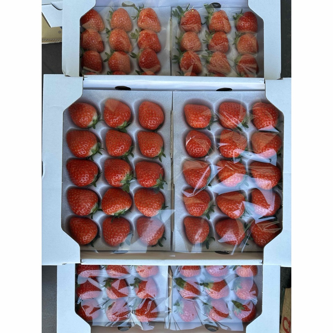 さぬきひめ やく2.4kg 大粒 いちご