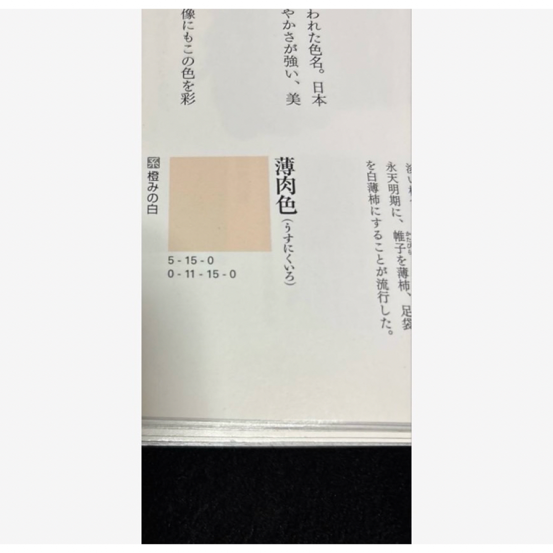 洗える友禅風訪問着フルセット4点 正絹袋帯付き 着物・帯