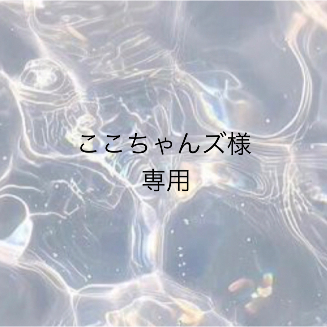 SEVENTEEN - ここちゃんズページ¥1598