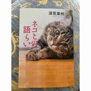 中古】 近代中国思想の生成/岩波書店/汪暉の通販 by 中古】 近代中国思想の生成/岩波書店/汪暉の通販 by