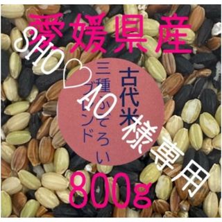 SHO♡AO 様専用　古代米3種ふぞろいブレンド　愛媛県産　800ｇ(米/穀物)