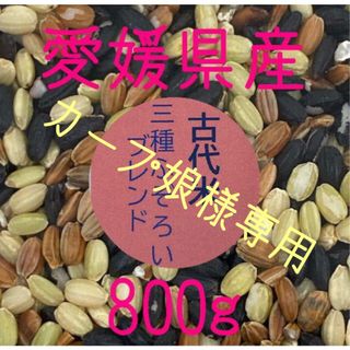 カープ娘様専用　古代米3種ふぞろいブレンド　愛媛県産　800ｇ(米/穀物)