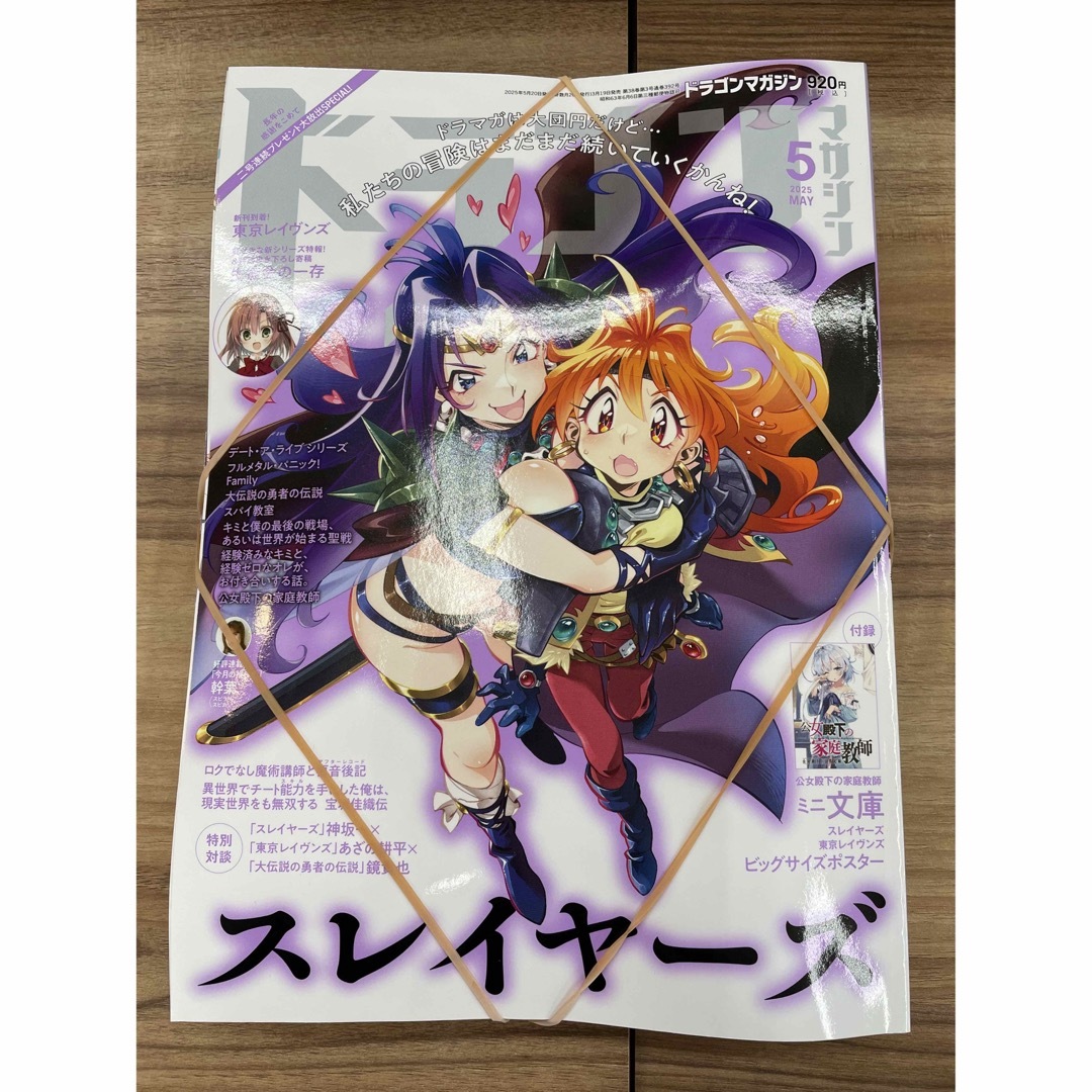新品 ドラゴンマガジン 2025年5月号 最終号 本 付録 完備 スレイヤーズ エンタメ/ホビーの雑誌(アート/エンタメ/ホビー)の商品写真