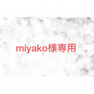 miyako様専用(その他)