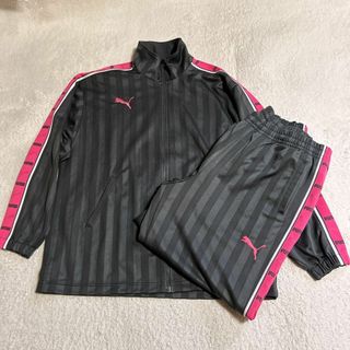 PUMA(ジャージ ・ ピンク/桃色系)のフリマアイテム一覧 PUMA(ジャージ ・ ピンク/桃色系)のフリマアイテム一覧