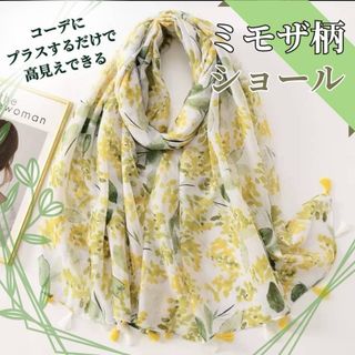 Salvatore Ferragamo - 極美品 ☆Ferragamo☆ ストール シフォン Salvatore Ferragamo - 極美品 ☆Ferragamo☆ ストール シフォン