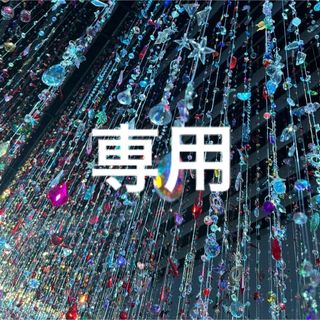 TOGA - 【定価63720円】 TOGA PULLA 透け感 オーガンザ ロング TOGA - 【定価63720円】 TOGA PULLA 透け感 オーガンザ ロング