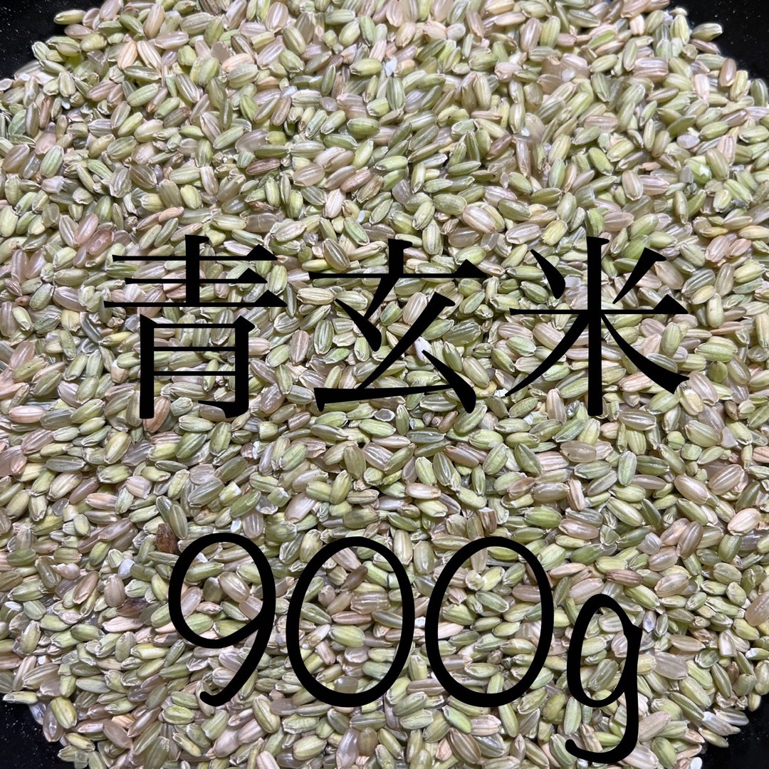 自然米 もち米 玄米❣️自然栽培無農薬 10kg れんげ米 菊池米七 自然米 もち米 玄米❣️自然栽培無農薬 10kg れんげ米 菊池米七