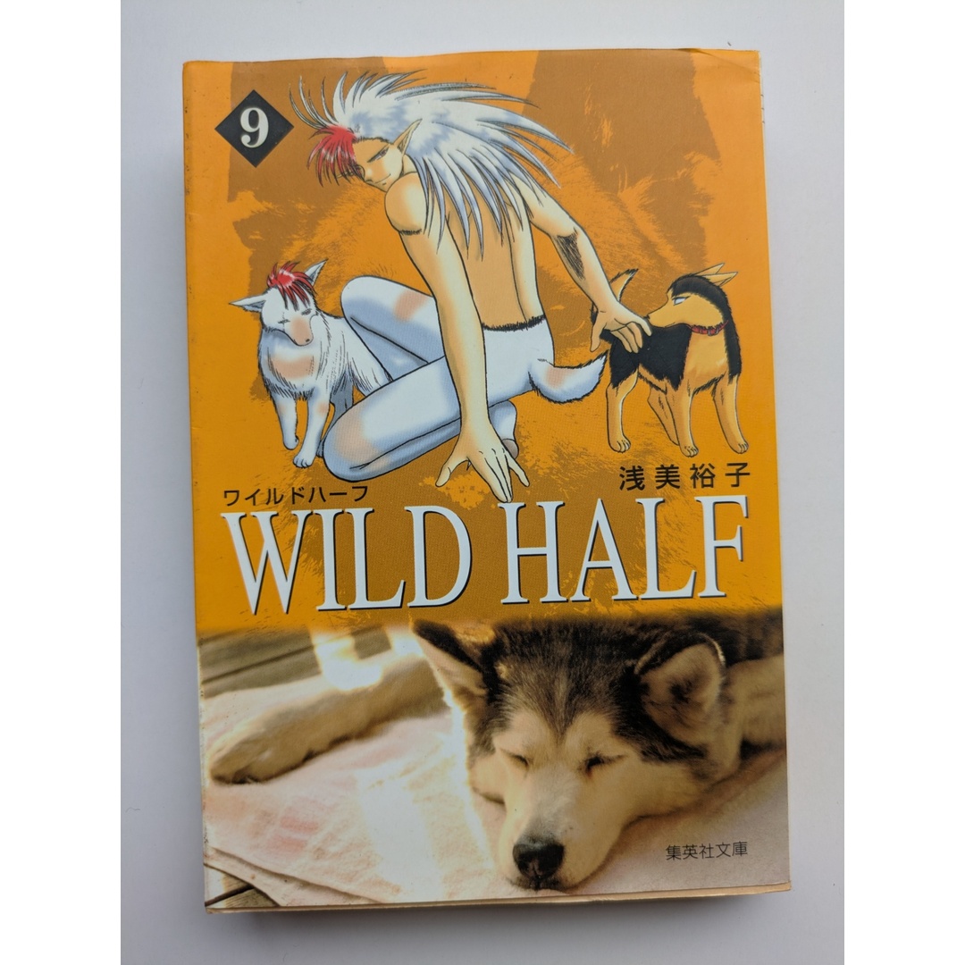WILD HALF (9) (集英社文庫) 浅美裕子 エンタメ/ホビーの漫画(その他)の商品写真
