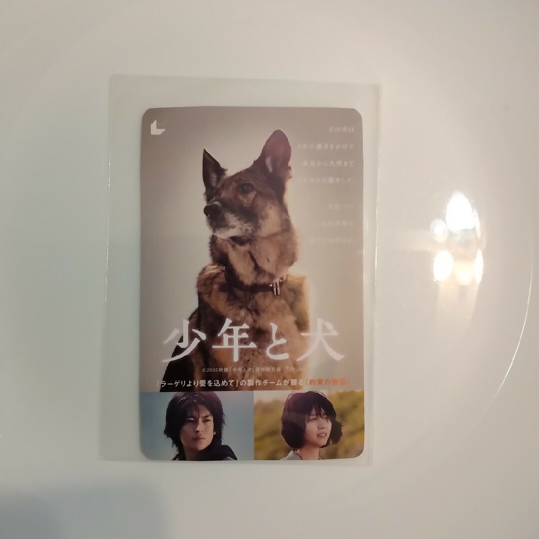 少年と犬 ムビチケ チケットの映画(邦画)の商品写真