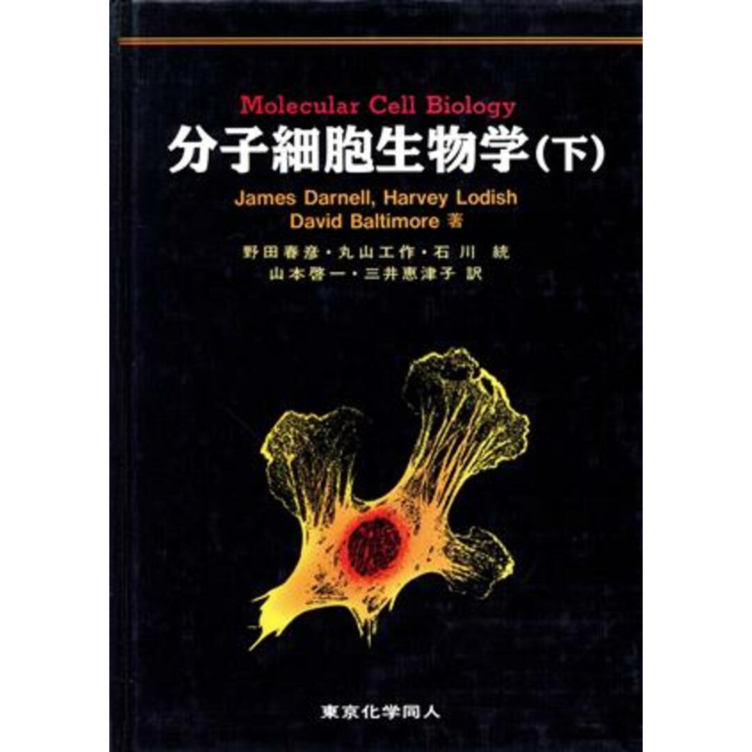 分子細胞生物学(下)/James E.Darnell,HarveyLodish,DavidBaltimore【著】,野田春彦,丸山工作,石川統,山本啓一,三井恵津子【訳】 エンタメ/ホビーの本(科学/技術)の商品写真