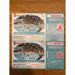 東京サマーランド　2枚(遊園地/テーマパーク)