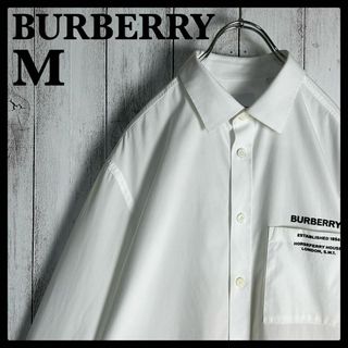BURBERRY - 【希少モデル】バーバリー☆総柄入り長袖ストライプ BURBERRY - 【希少モデル】バーバリー☆総柄入り長袖ストライプ