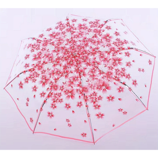 さくら模様の折りたたみ傘　クリア　ピンク　ビニール傘　雨傘　お花見　春　軽量(傘)