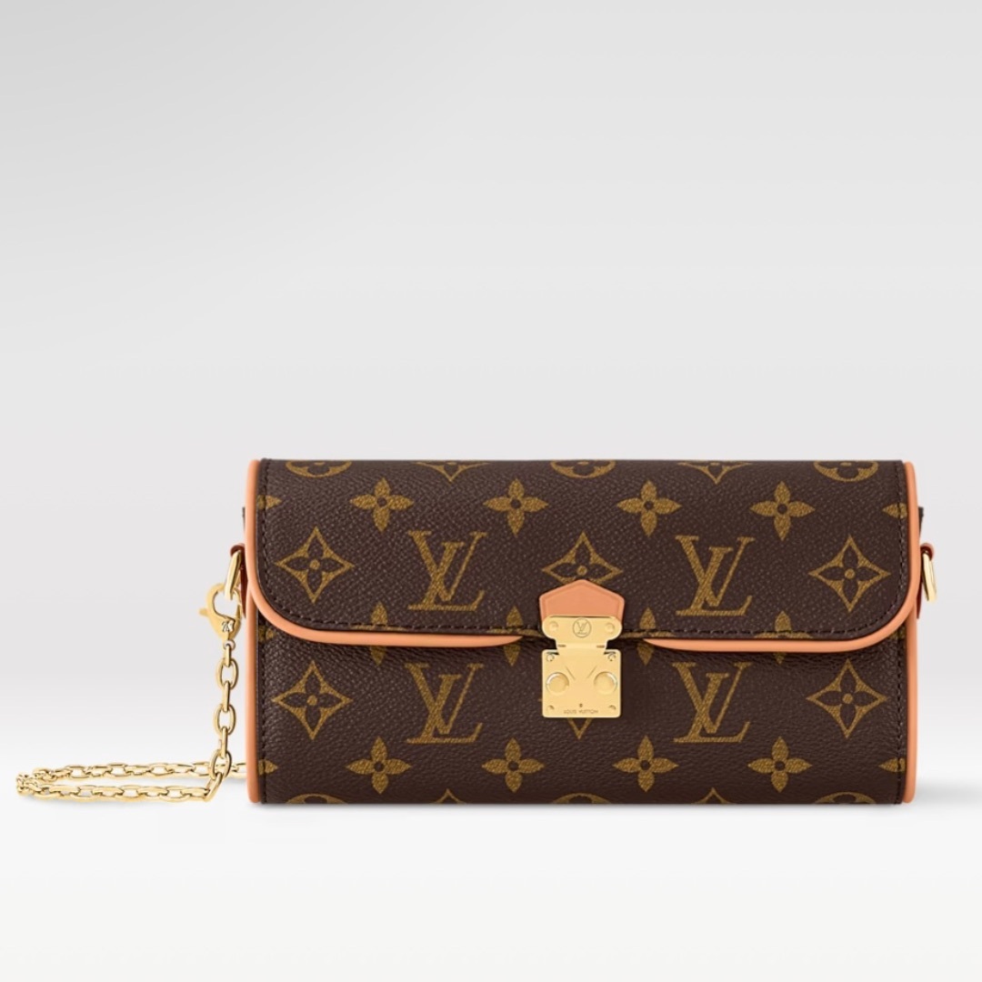 LOUIS VUITTON - LOUIS VUITTON バッグ