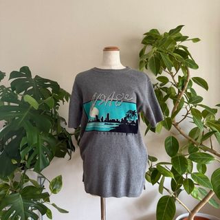 シティ(CITY)のCITY ニットカットソー　oo226(カットソー(半袖/袖なし))