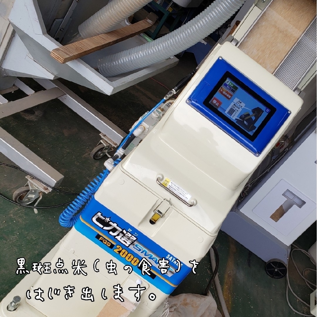 玄米 コシヒカリ 30kg 特別栽培米 茨城県産 関東圏のみの通販 by 玄米 コシヒカリ 30kg 特別栽培米 茨城県産 関東圏のみの通販 by