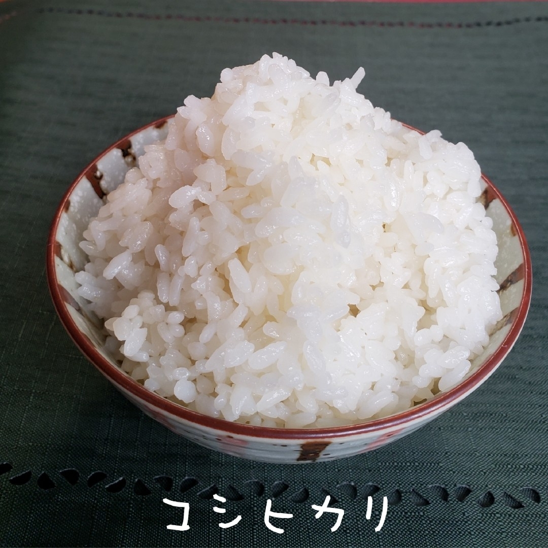 玄米 コシヒカリ 30kg 特別栽培米 茨城県産 関東圏のみの通販 by 玄米 コシヒカリ 30kg 特別栽培米 茨城県産 関東圏のみの通販 by