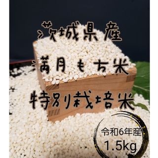 新米　満月もち米1.5kg　令和6年産 もち米　餅米　精米(米/穀物)