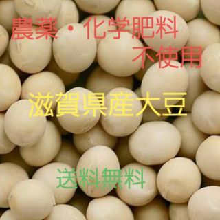 【送料無料】農薬・化学肥料不使用　令和6年度産　滋賀県産大豆1000g(米/穀物)