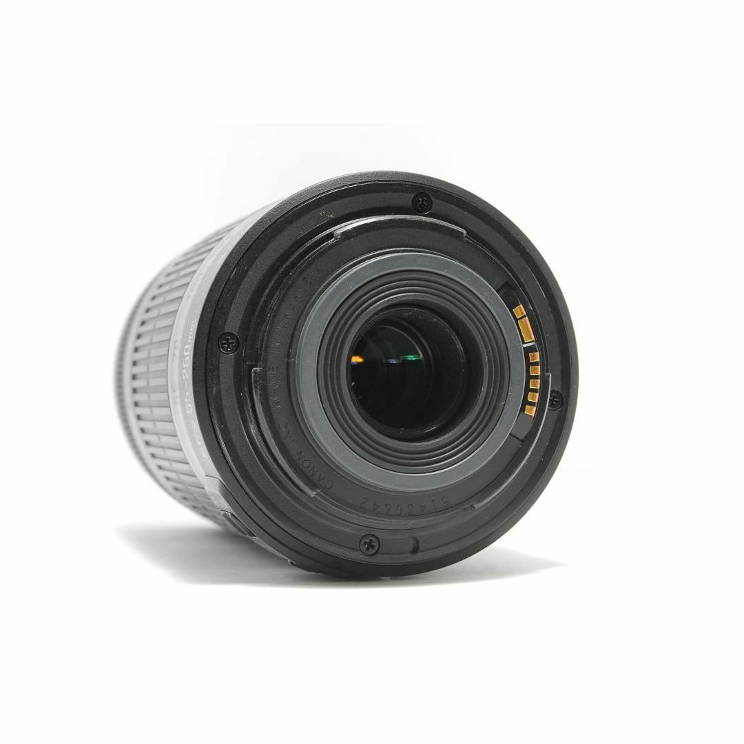 ❣動く被写体もブレずに撮影❣Canon EF-S 55-250mm IS❣美品