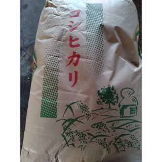 【週末限定価格残り僅か】令和６年度新米コシヒカリ玄米30kg(米/穀物)