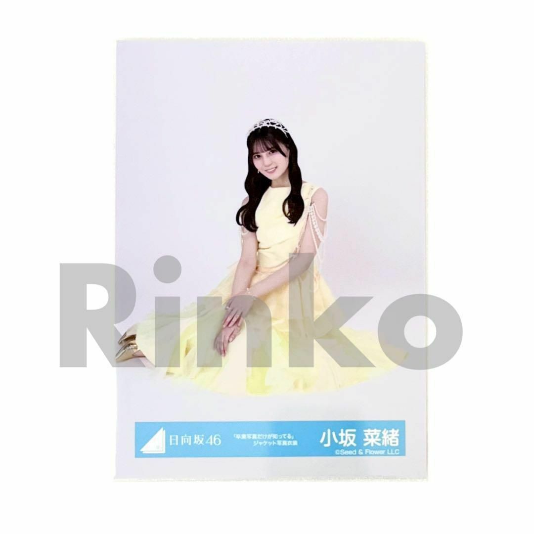 日向坂46 小坂菜緒 卒業写真だけが知ってる ジャケット 生写真 日向坂46 小坂菜緒 卒業写真だけが知ってる ジャケット 生写真