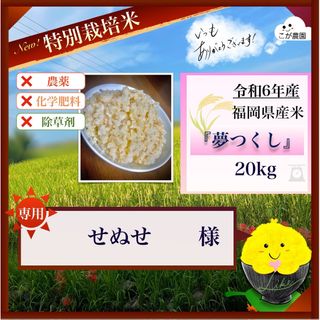 せぬせ様専用商品　準自然米　福岡県産「夢つくし」令和6年産　玄米20kg(米/穀物)