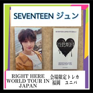 SEVENTEEN - ウォヌ ドギョム hare ペア トレカ ウォヌソクの SEVENTEEN - ウォヌ ドギョム hare ペア トレカ ウォヌソクの