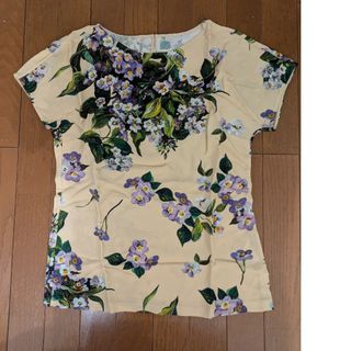 DOLCE&GABBANA - DOLCE&GABBANA ポピーとアスター満開の DOLCE&GABBANA - DOLCE&GABBANA ポピーとアスター満開の