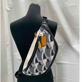 COACH - コーチCOACHテリアン パフォレイテッドレザーボディー COACH - コーチCOACHテリアン パフォレイテッドレザーボディー