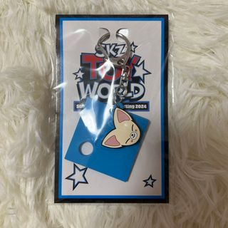 ストレイキッズ(Stray Kids)のSKZ TOYWORLD くじ D賞 アイエン SKZOOバッチキーホルダー(K-POP/アジア)