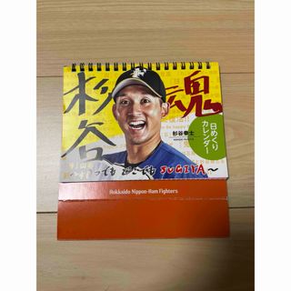 ホッカイドウニホンハムファイターズ(北海道日本ハムファイターズ)の杉谷拳士　日めくりカレンダー(スポーツ選手)