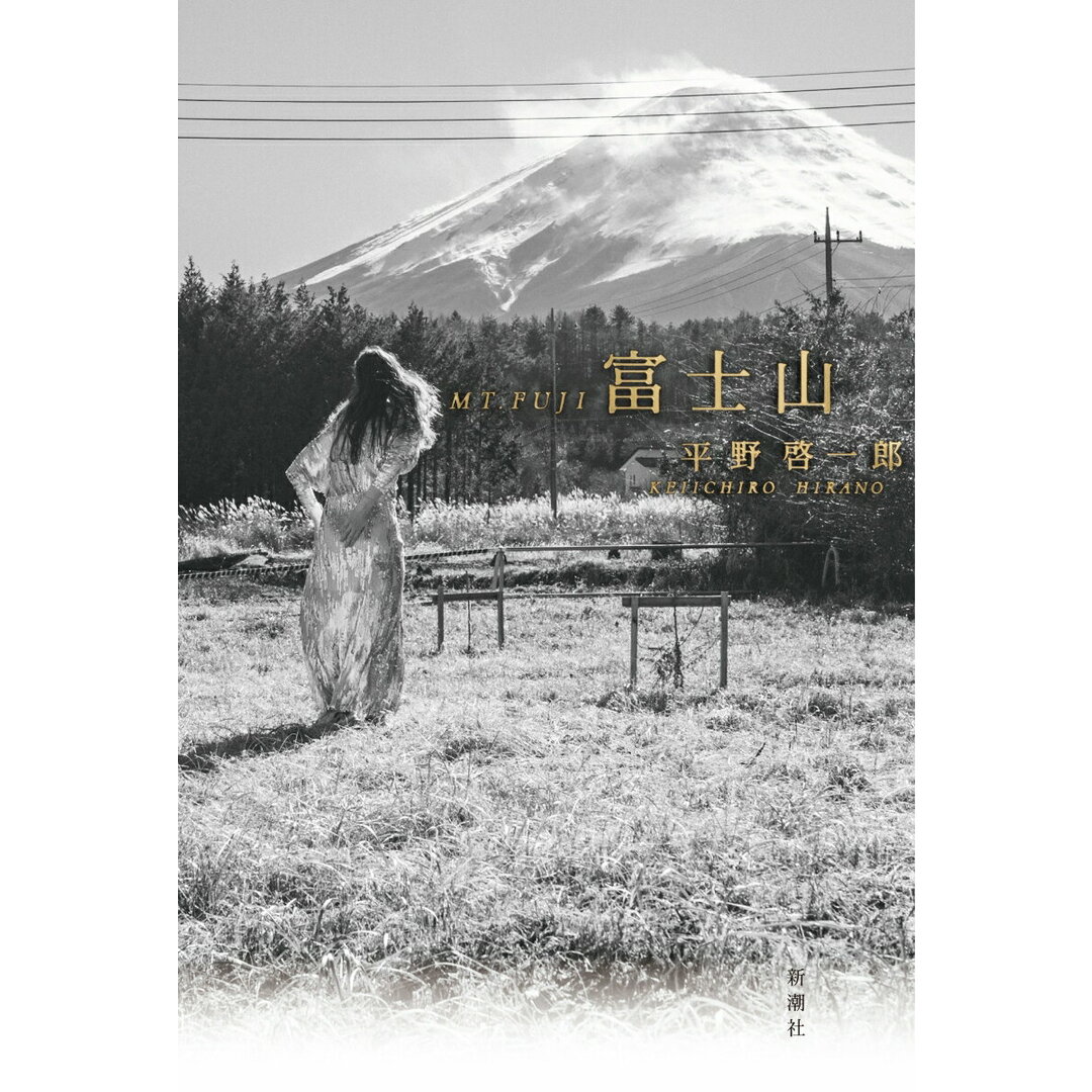富士山/新潮社/平野啓一郎(単行本) エンタメ/ホビーの本(文学/小説)の商品写真
