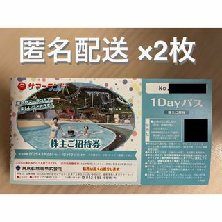 東京サマーランド 東京都競馬 株主優待券 2枚 (ラクマパック発送)(プール)