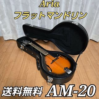 田原楽器 JUMBO J-M98 フラットマンドリン 1970年代 貴重品の 田原楽器 JUMBO J-M98 フラットマンドリン 1970年代 貴重品の