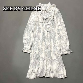SEE BY CHLOE - シーバイクロエ 長袖ワンピース 刺繍レースsee SEE BY CHLOE - シーバイクロエ 長袖ワンピース 刺繍レースsee