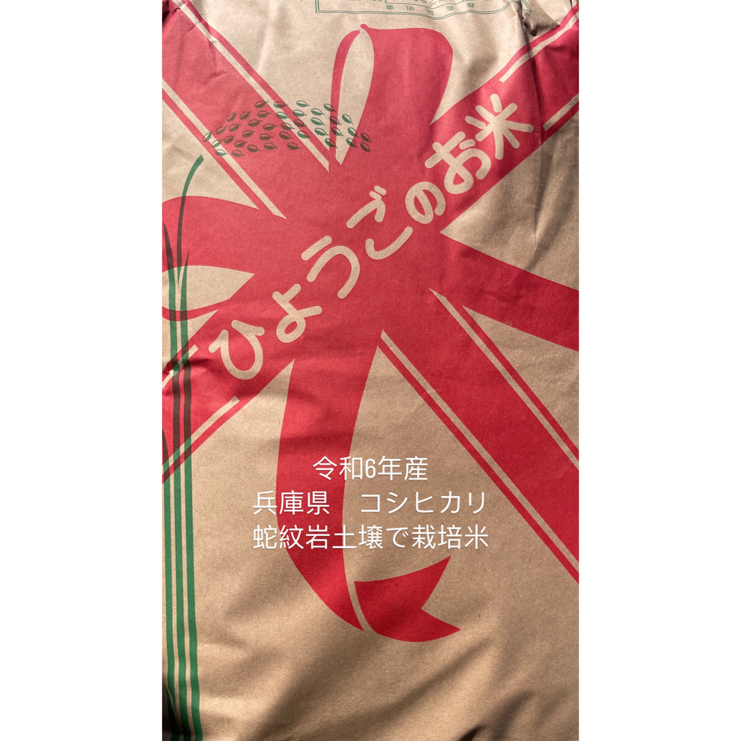【えがわ様専用】令和６年産　兵庫県　コシヒカリ　玄米30kg