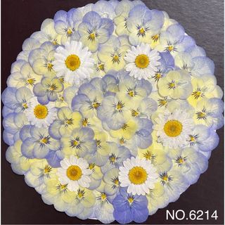 ビオラの押し花素材☆花材